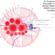 ASEAN-EU-FP7_other_programmes.png