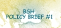 Black Sea Horizon project just published its first Policy Brief