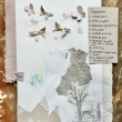 competition-7-768x982.jpg