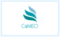 CaMEO - Career Mobility of Europe's Older Workforce