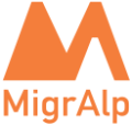 MigrAlp 