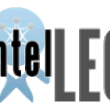 intelleo_logo.gif