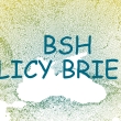 bshpolicybrief2.jpg