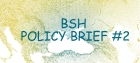 bshpolicybrief2.jpg