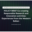 policy_brief_WBC-RRI_NET_Capture.JPG