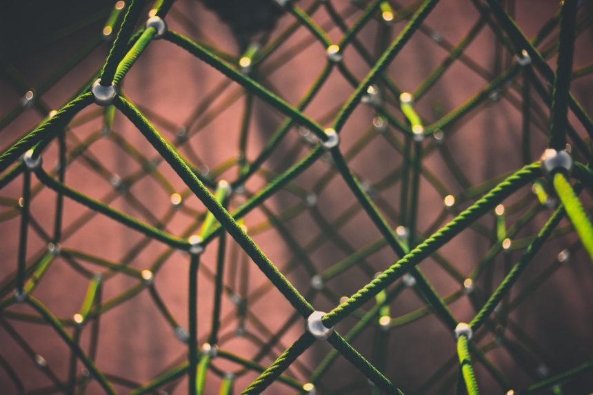 
Photo-by-Clint-Adair-on-Unsplash_Netz-1-scaled.jpg